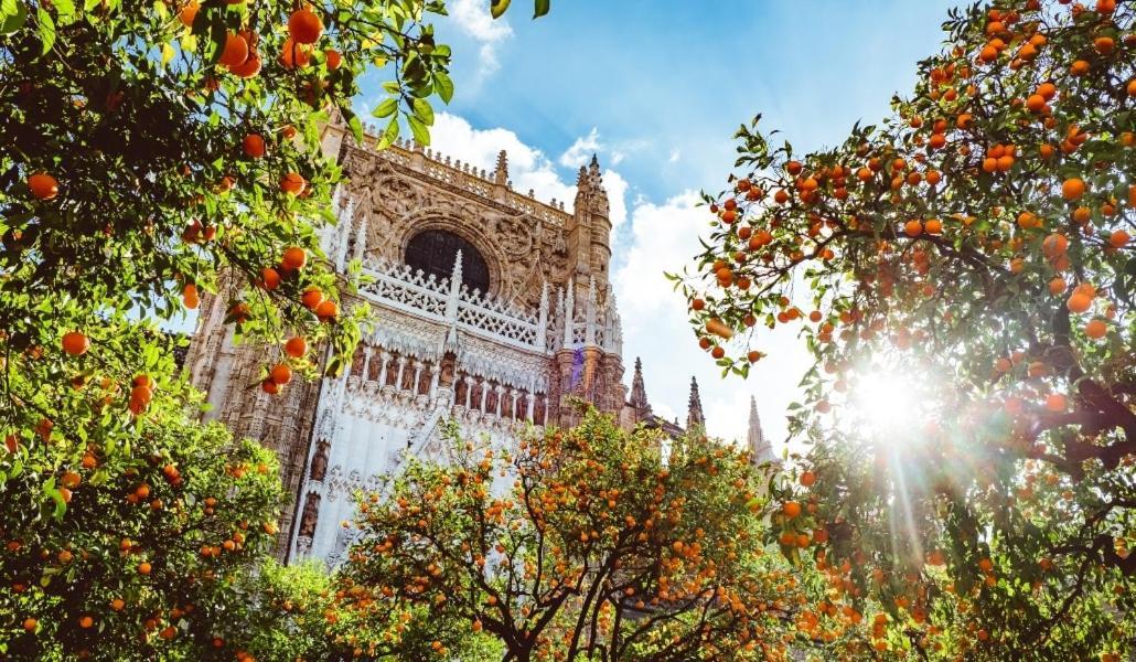 Epicenter Sevilla